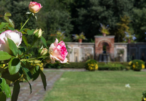 dettaglio firitura, Giardino Spagnolo di Villa Reale