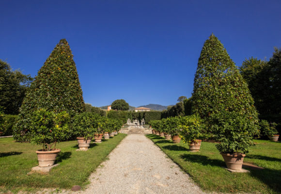 Viale centrale del Giardino dei Limoni, Villa Reale di Marlia - Foto di Vincenzo Tambasco