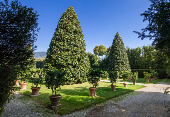 I Limoni di Villa Reale di Marlia - Foto di Vincenzo Tambasco