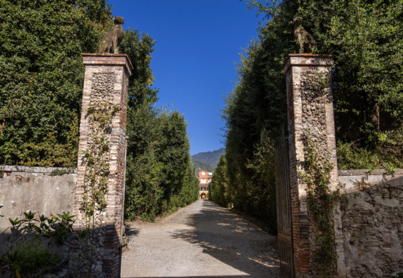 Viale che conduce alla Palazzina dell'Orologio - Foto di Vincenzo Tambasco