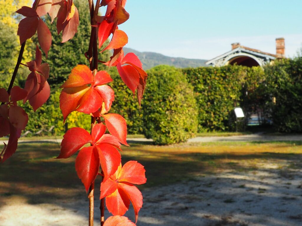 Autunno in Toscana: Villa Reale di Marlia